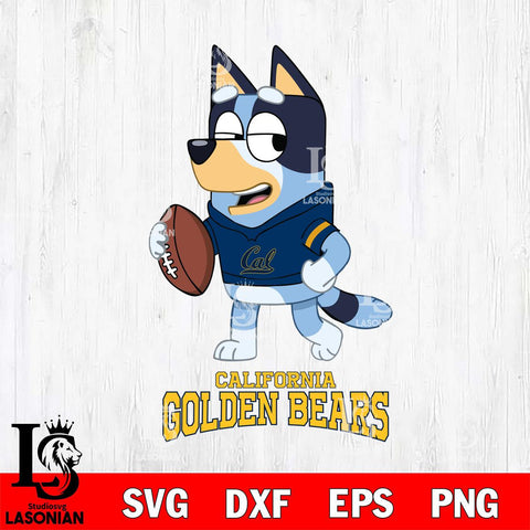 California Golden Bears Bluey Football Sport Svg Eps Dxf Png File, Digital Download ,Instant Download, Cricut File