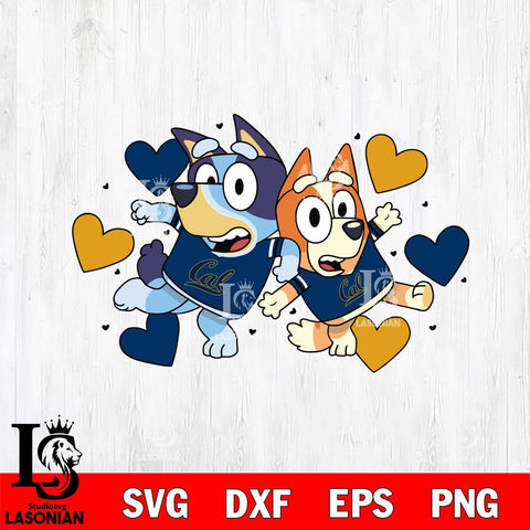 California Golden Bears Bluey heart Svg Eps Dxf Png File, Digital Download, Instant Download