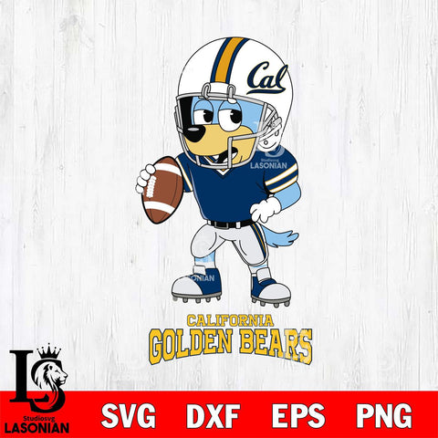 California Golden Bears Bluey rugby Svg Eps Dxf Png File, Digital Download ,Instant Download, Cricut File