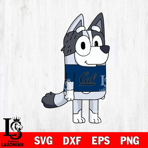 California Golden Bears Muffin Bluey Svg Eps Dxf Png File, Digital Download, Instant Download