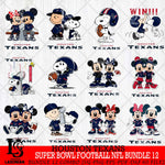 Houston Texans Super Bowl NFL Bundle 12 Svg Eps Dxf Png File, NFL svg , Digital Download , Instant Download, Cricut File