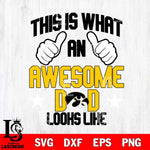 Iowa Hawkeyes Awesome Dad Looks like Svg Eps Dxf Png File, Digital Download, Instant Download