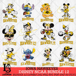 Iowa Hawkeyes Disney NCAA Bundle Svg PNG 12 Svg Eps Dxf Png File, Digital Download