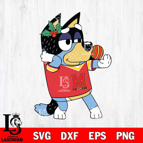 Maryland Terrapins Bandit Heeler Christmas Svg Eps Dxf Png File, Digital Download, Instant Download