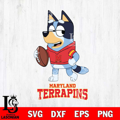 Maryland Terrapins Bluey Football Sport Svg Eps Dxf Png File, Digital Download ,Instant Download, Cricut File